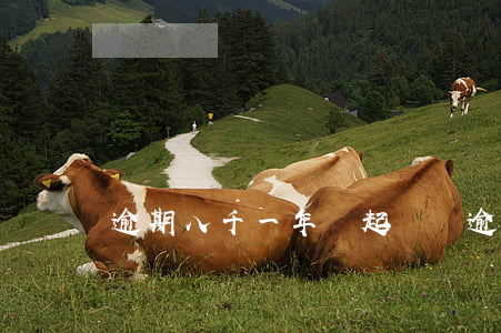 逾期八千一年會起訴嗎(逾期8000會被起訴嗎)