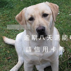 逾期八天還能申請信用卡馬(逾期八天還能申請信用卡馬)