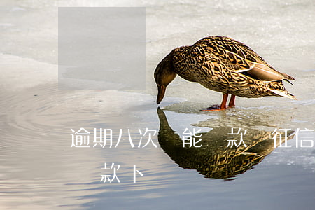 逾期八次還能貸款嗎(征信逾期8次還能不能貸款下來)
