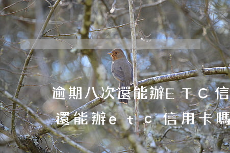 逾期八次還能辦ETC信用卡嗎-逾期八次還能辦etc信用卡嗎