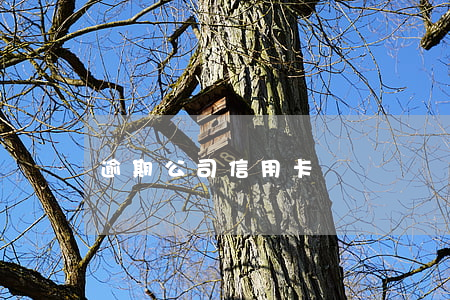 逾期公司信用卡嗎