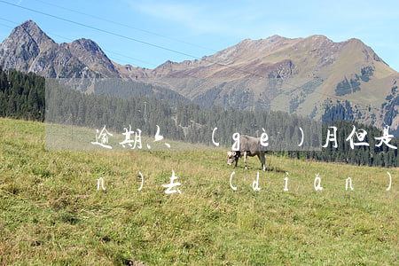 逾期六個(gè)月但是每次都還進(jìn)去點(diǎn)兒-逾期6個(gè)月