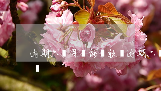逾期六個月還能貸款嗎(逾期六個月還能貸款嗎)