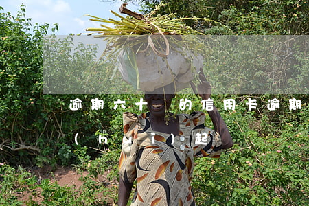 逾期六十萬的信用卡(逾期六十萬的信用卡會(huì)起訴嗎)