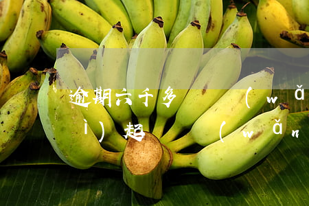 逾期六千多塊錢網(wǎng)貸會(huì)起訴嗎(網(wǎng)貸逾期六千塊錢會(huì)被起訴嗎?)