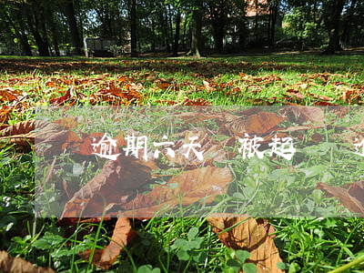 逾期六天會被起訴嗎(逾期六天會被起訴嗎)