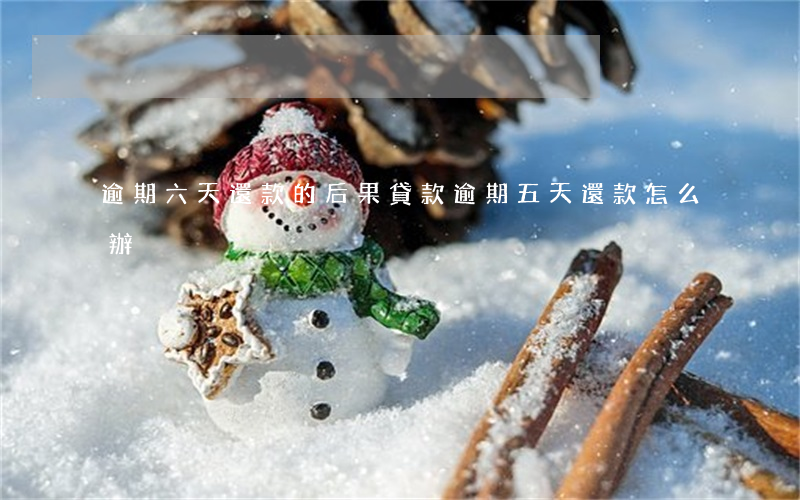 逾期六天還款的后果(貸款逾期五天還款怎么辦)