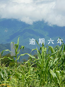 逾期六年的信用卡（信用卡6年算逾期吗）