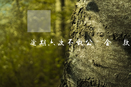逾期六次不能公積金貸款