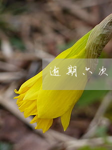 逾期六次影響政審嗎 逾期幾次影響政審嗎