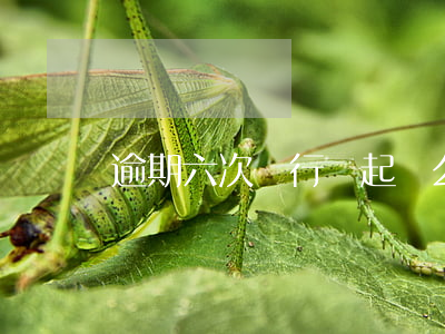 逾期六次銀行會起訴么(房貸逾期6次銀行起訴)