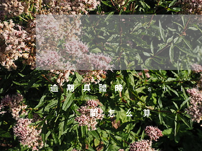 逾期具體時(shí)間(逾期具體時(shí)間怎么算)