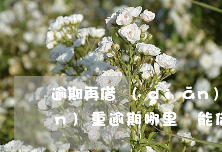 逾期再借點(diǎn)錢-正在嚴(yán)重逾期哪里還能借到錢