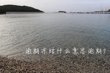逾期冻结什么意思（逾期90冻结）