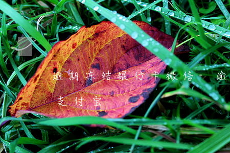 逾期冻结银行卡微信-逾期冻结银行卡微信支付宝