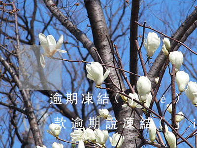 逾期凍結(jié)了微信的零錢怎么辦（欠款逾期說凍結(jié)微信是真的嗎）