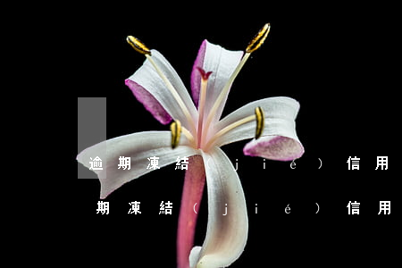 逾期凍結(jié)信用卡恢復(fù)（逾期凍結(jié)信用卡恢復(fù)）