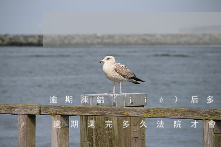 逾期凍結(jié)后多久能恢復(fù)（逾期還完多久法院才會(huì)解封）