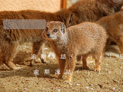 逾期凍結(jié)后的信用卡怎么解凍-逾期凍結(jié)后的信用卡怎么解凍