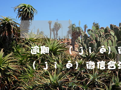 逾期凍結(jié)微信合法嗎-逾期凍結(jié)微信合法嗎