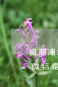 逾期凍結(jié)微信零錢(qián)微信還能聊天嗎-逾期凍結(jié)微信零錢(qián)微信還能聊天嗎安全嗎