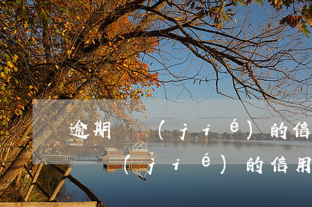 逾期凍結(jié)的信用卡如何解凍(逾期凍結(jié)的信用卡如何解凍)