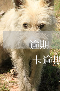 逾期凍結(jié)的信用卡怎么解凍（信用卡逾期還清后卡凍結(jié)可以用不）