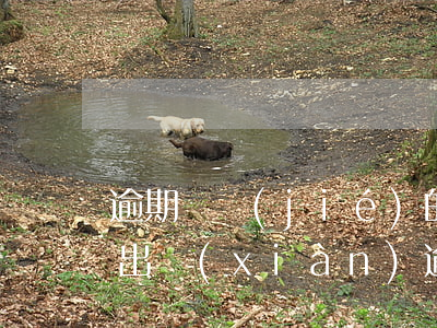 逾期凍結(jié)的信用卡怎么解凍（征信出現(xiàn)逾期信用卡不能解凍）