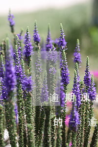 逾期凍結(jié)銀行卡到底真的還是假的-逾期凍結(jié)銀行卡到底真的還是假的啊