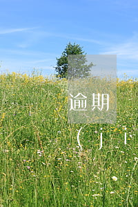 逾期凍結(jié)銀行卡重新辦還會凍結(jié)嗎-逾期凍結(jié)銀行卡重新辦還會凍結(jié)嗎