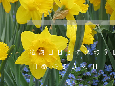 逾期凍結了微信的零錢怎么辦（欠款逾期說凍結微信是真的嗎）