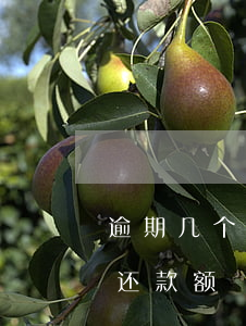 逾期几个月还了最低还款(逾期了还能还最低还款额)