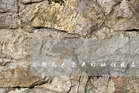 逾期几天上央行征信(现在逾期几天上征信)