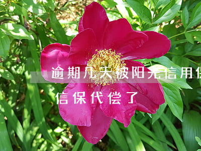 逾期几天被阳光信用保证保险代偿-被阳光信保代偿了