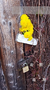 逾期几年的信用卡还完怎么处理（信用卡严重逾期几年可以恢复）