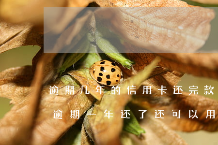 逾期几年的信用卡还完款还可以用吗（信用卡逾期一年还了还可以用）