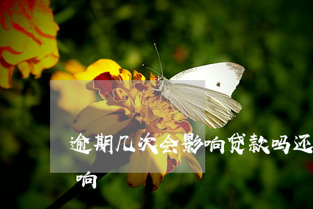 逾期几次会影响贷款吗(还贷逾期多少次有影响)