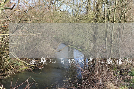 逾期几百块钱有人微信加我