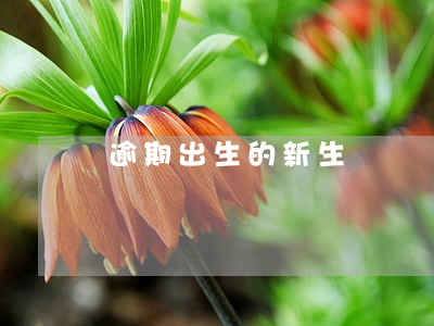 逾期出生的新生兒