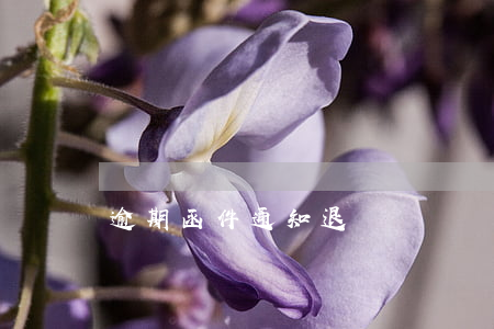逾期函件通知退訂