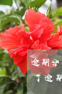 逾期分期乐会被起诉吗(分期乐逾期被起诉还了逾期部分行不行?)