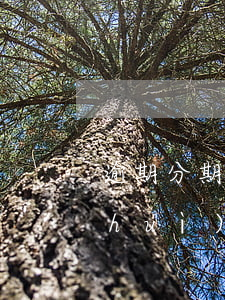 逾期分期樂要求一次性還款(分期樂逾期會(huì)被要求一次性還清合法嗎?)