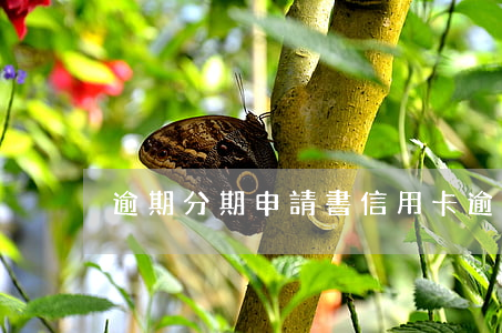 逾期分期申請書（信用卡逾期分期還款諒解書）