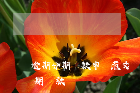 逾期分期還款申請范文(貸款逾期如何申請分期還款)