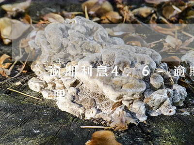 逾期利息4.6-逾期利息超過本金怎么處理