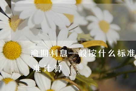 逾期利息一般按什么标准(逾期利息按什么标准计算)