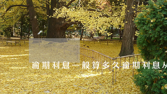 逾期利息一般算多久 逾期利息从何时起算