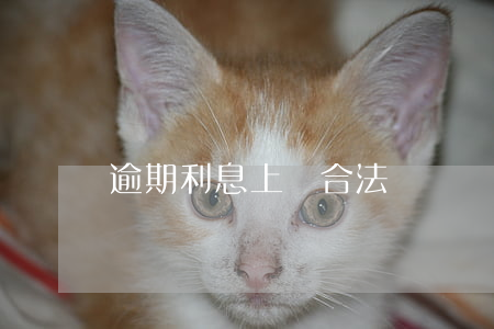 逾期利息上漲合法嗎