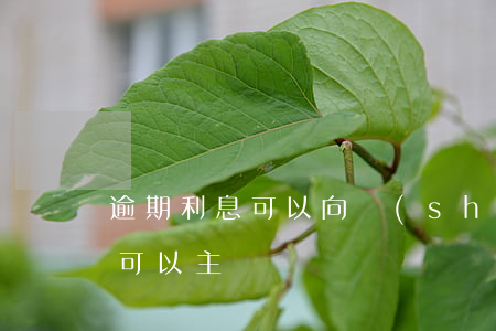 逾期利息可以向誰(shuí)付(逾期利息可以主張嗎)