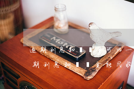 逾期利息和違約金可以一并主張嗎-借款逾期利息和違約金能同收嗎